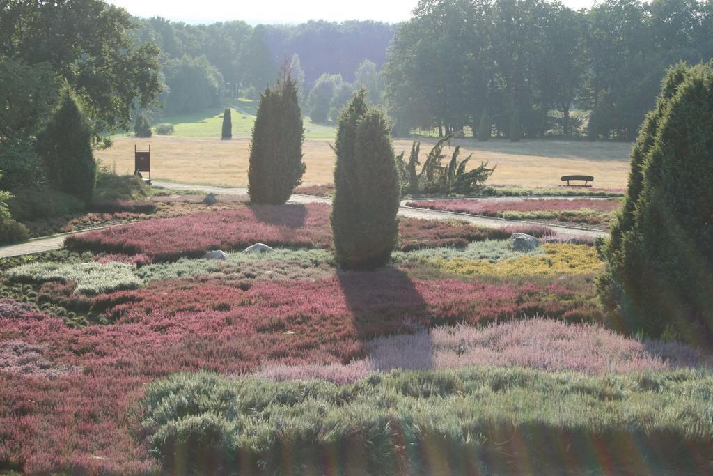 Ferienwohnung Lueneburger Heide Schneverdingen Extérieur photo